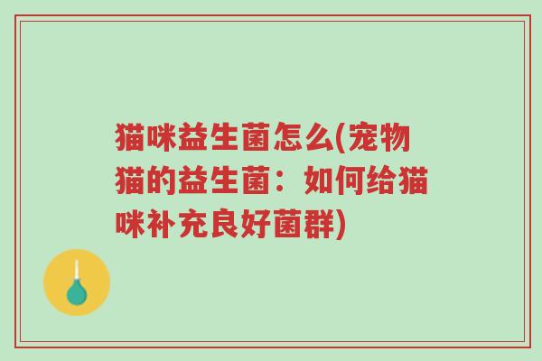 猫咪益生菌怎么(宠物猫的益生菌:如何给猫咪补充良好菌群)-第1张图片-超越 猫咪益生菌怎么(宠物猫的益生菌:如何给猫咪补充良好菌群)-第1张图片-超越