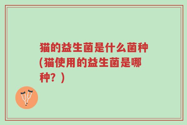 猫的益生菌是什么菌种(猫使用的益生菌是哪种?)-第1张图片-超越 猫的益生菌是什么菌种(猫使用的益生菌是哪种?)-第1张图片-超越