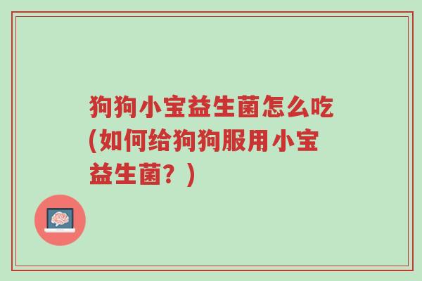 狗狗小宝益生菌怎么吃(如何给狗狗服用小宝益生菌?)-第1张图片-超越 狗狗小宝益生菌怎么吃(如何给狗狗服用小宝益生菌?)-第1张图片-超越