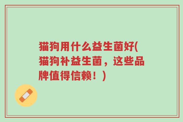 猫狗用什么益生菌好(猫狗补益生菌,这些品牌值得信赖!)-第1张图片-超越 猫狗用什么益生菌好(猫狗补益生菌,这些品牌值得信赖!)-第1张图片-超越