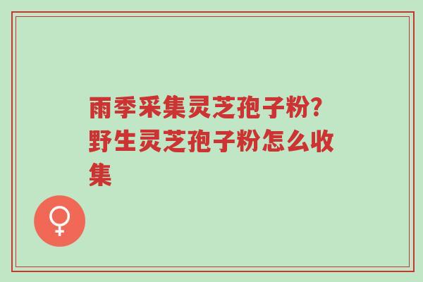 雨季采集灵芝孢子粉?野生灵芝孢子粉怎么收集-第1张图片-超越 雨季采集灵芝孢子粉?野生灵芝孢子粉怎么收集-第1张图片-超越