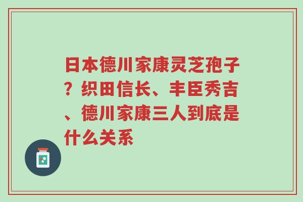 日本德川家康灵芝孢子?织田信长、丰臣秀吉、德川家康三人到底是什么关系-第1张图片-超越 日本德川家康灵芝孢子?织田信长、丰臣秀吉、德川家康三人到底是什么关系-第1张图片-超越