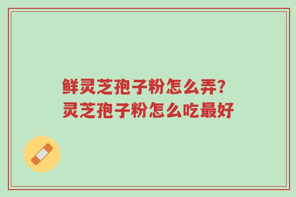 鲜灵芝孢子粉怎么弄?灵芝孢子粉怎么吃最好-第1张图片-超越 鲜灵芝孢子粉怎么弄?灵芝孢子粉怎么吃最好-第1张图片-超越