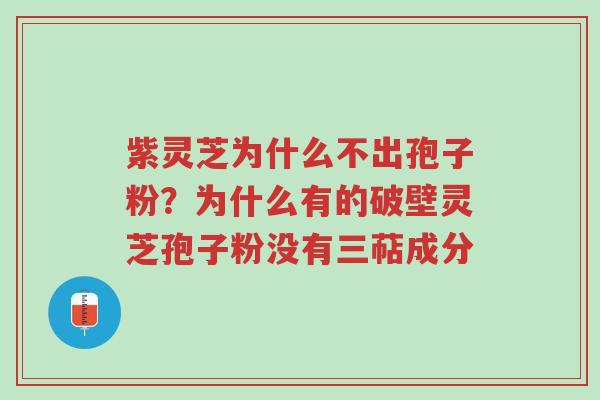 紫灵芝为什么不出孢子粉？为什么有的破壁灵芝孢子粉没有三萜成分-第1张图片-超越