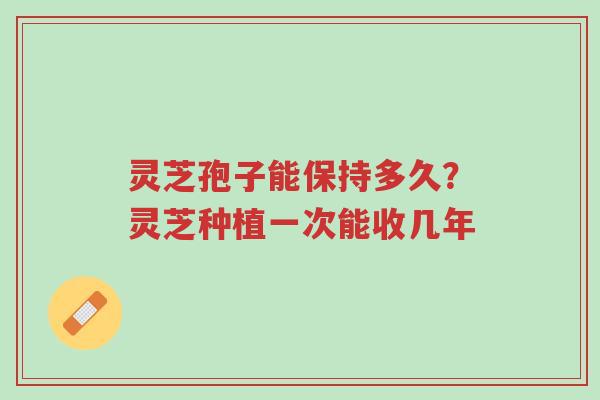 灵芝孢子能保持多久？灵芝种植一次能收几年-第1张图片-超越
