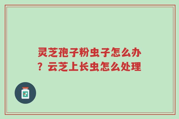 灵芝孢子粉虫子怎么办?云芝上长虫怎么处理-第1张图片-超越 灵芝孢子粉虫子怎么办?云芝上长虫怎么处理-第1张图片-超越