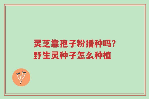 灵芝靠孢子粉播种吗?野生灵种子怎么种植-第1张图片-超越 灵芝靠孢子粉播种吗?野生灵种子怎么种植-第1张图片-超越