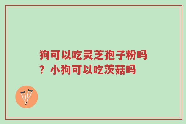 狗可以吃灵芝孢子粉吗?小狗可以吃茨菇吗-第1张图片-超越 狗可以吃灵芝孢子粉吗?小狗可以吃茨菇吗-第1张图片-超越