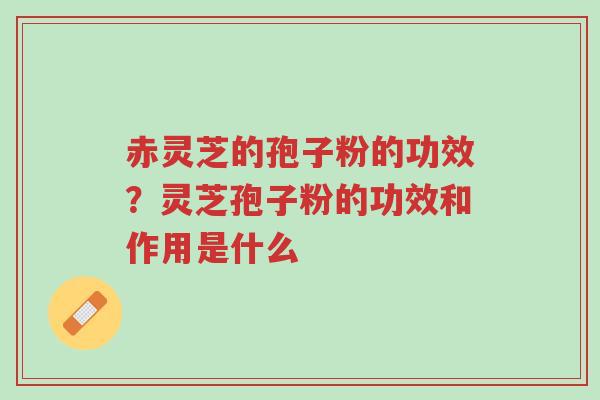 赤灵芝的孢子粉的功效?灵芝孢子粉的功效和作用是什么-第1张图片-超越 赤灵芝的孢子粉的功效?灵芝孢子粉的功效和作用是什么-第1张图片-超越