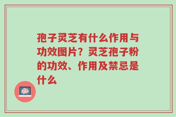 孢子灵芝有什么作用与功效图片?灵芝孢子粉的功效、作用及禁忌是什么-第1张图片-超越 孢子灵芝有什么作用与功效图片?灵芝孢子粉的功效、作用及禁忌是什么-第1张图片-超越
