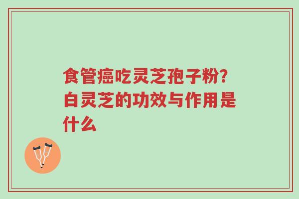食管癌吃灵芝孢子粉?白灵芝的功效与作用是什么-第1张图片-超越 食管癌吃灵芝孢子粉?白灵芝的功效与作用是什么-第1张图片-超越