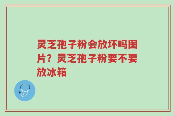 灵芝孢子粉会放坏吗图片？灵芝孢子粉要不要放冰箱-第1张图片-超越