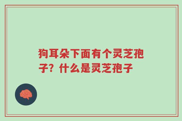 狗耳朵下面有个灵芝孢子?什么是灵芝孢子-第1张图片-超越 狗耳朵下面有个灵芝孢子?什么是灵芝孢子-第1张图片-超越