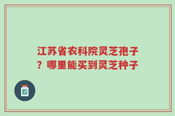 江苏省农科院灵芝孢子?哪里能买到灵芝种子-第1张图片-超越 江苏省农科院灵芝孢子?哪里能买到灵芝种子-第1张图片-超越