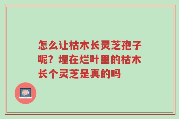 怎么让枯木长灵芝孢子呢?埋在烂叶里的枯木长个灵芝是真的吗-第1张图片-超越 怎么让枯木长灵芝孢子呢?埋在烂叶里的枯木长个灵芝是真的吗-第1张图片-超越