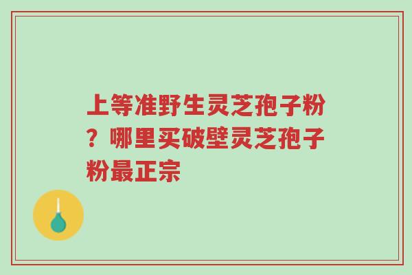 上等准野生灵芝孢子粉?哪里买破壁灵芝孢子粉最正宗-第1张图片-超越 上等准野生灵芝孢子粉?哪里买破壁灵芝孢子粉最正宗-第1张图片-超越