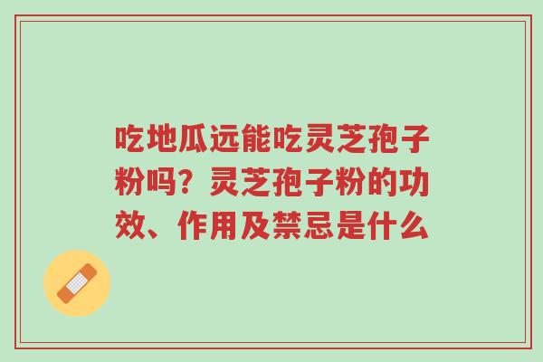 吃地瓜远能吃灵芝孢子粉吗?灵芝孢子粉的功效、作用及禁忌是什么-第1张图片-超越 吃地瓜远能吃灵芝孢子粉吗?灵芝孢子粉的功效、作用及禁忌是什么-第1张图片-超越