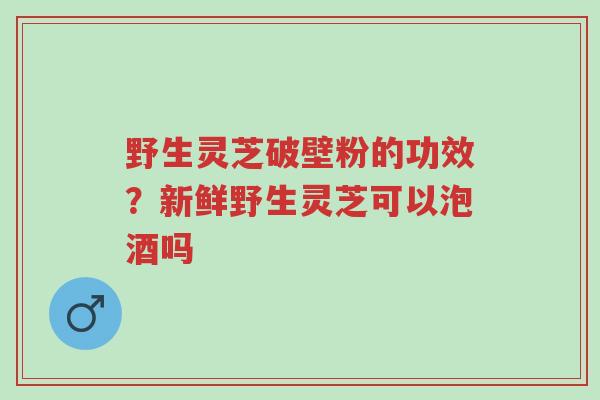 野生灵芝破壁粉的功效?新鲜野生灵芝可以泡酒吗-第1张图片-超越 野生灵芝破壁粉的功效?新鲜野生灵芝可以泡酒吗-第1张图片-超越