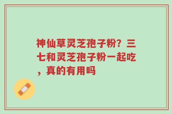 神仙草灵芝孢子粉?三七和灵芝孢子粉一起吃,真的有用吗-第1张图片-超越 神仙草灵芝孢子粉?三七和灵芝孢子粉一起吃,真的有用吗-第1张图片-超越