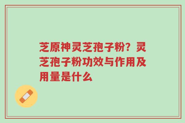 芝原神灵芝孢子粉?灵芝孢子粉功效与作用及用量是什么-第1张图片-超越 芝原神灵芝孢子粉?灵芝孢子粉功效与作用及用量是什么-第1张图片-超越