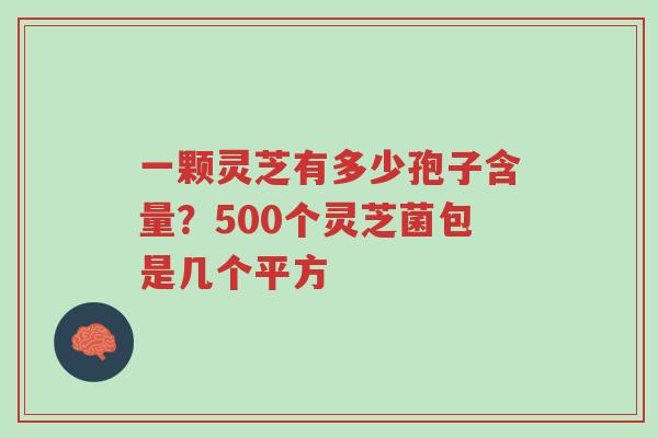 一颗灵芝有多少孢子含量?500个灵芝菌包是几个平方-第1张图片-超越 一颗灵芝有多少孢子含量?500个灵芝菌包是几个平方-第1张图片-超越