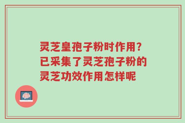 灵芝皇孢子粉时作用?已采集了灵芝孢子粉的灵芝功效作用怎样呢-第1张图片-超越 灵芝皇孢子粉时作用?已采集了灵芝孢子粉的灵芝功效作用怎样呢-第1张图片-超越