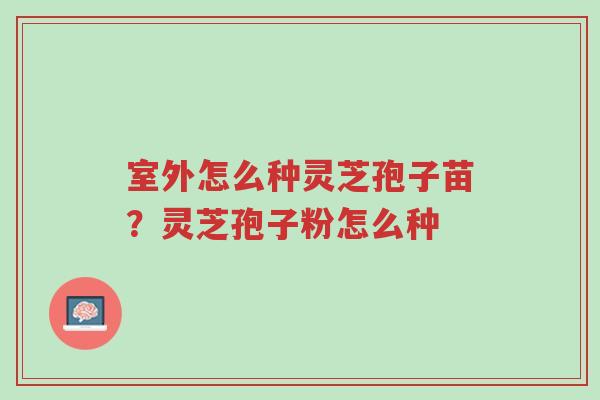 室外怎么种灵芝孢子苗?灵芝孢子粉怎么种-第1张图片-超越 室外怎么种灵芝孢子苗?灵芝孢子粉怎么种-第1张图片-超越