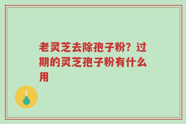 老灵芝去除孢子粉?过期的灵芝孢子粉有什么用-第1张图片-超越 老灵芝去除孢子粉?过期的灵芝孢子粉有什么用-第1张图片-超越