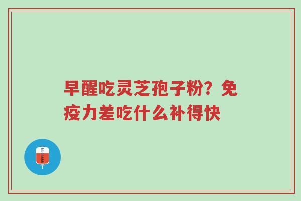 早醒吃灵芝孢子粉?免疫力差吃什么补得快-第1张图片-超越 早醒吃灵芝孢子粉?免疫力差吃什么补得快-第1张图片-超越