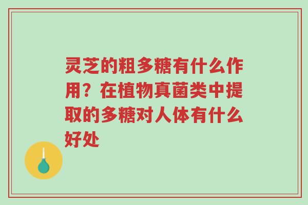 灵芝的粗多糖有什么作用?在植物真菌类中提取的多糖对人体有什么好处-第1张图片-超越 灵芝的粗多糖有什么作用?在植物真菌类中提取的多糖对人体有什么好处-第1张图片-超越