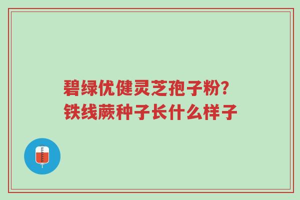 碧绿优健灵芝孢子粉？铁线蕨种子长什么样子-第1张图片-超越