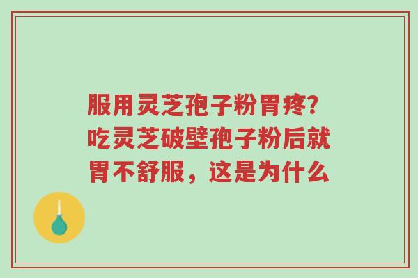 服用灵芝孢子粉胃疼?吃灵芝破壁孢子粉后就胃不舒服,这是为什么-第1张图片-超越 服用灵芝孢子粉胃疼?吃灵芝破壁孢子粉后就胃不舒服,这是为什么-第1张图片-超越
