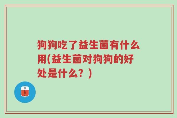 狗狗吃了益生菌有什么用(益生菌对狗狗的好处是什么?)-第1张图片-超越 狗狗吃了益生菌有什么用(益生菌对狗狗的好处是什么?)-第1张图片-超越