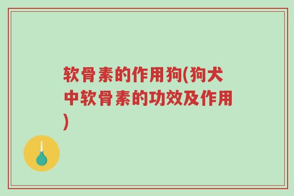 软骨素的作用狗(狗犬中软骨素的功效及作用)-第1张图片-超越 软骨素的作用狗(狗犬中软骨素的功效及作用)-第1张图片-超越
