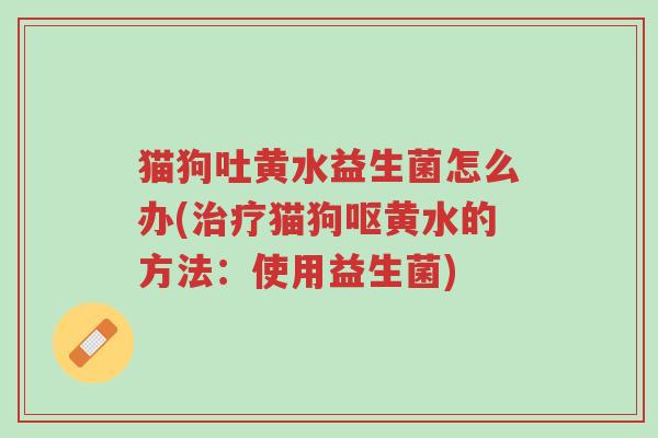 猫狗吐黄水益生菌怎么办(治疗猫狗呕黄水的方法:使用益生菌)-第1张图片-超越 猫狗吐黄水益生菌怎么办(治疗猫狗呕黄水的方法:使用益生菌)-第1张图片-超越