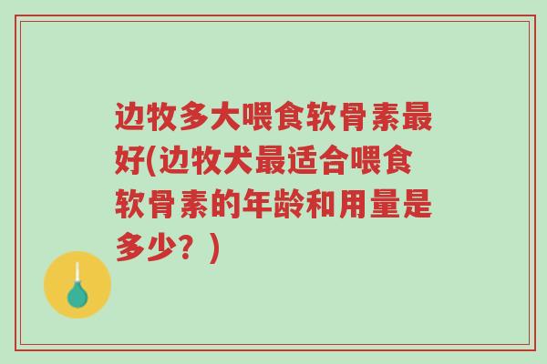 边牧多大喂食软骨素最好(边牧犬最适合喂食软骨素的年龄和用量是多少?)-第1张图片-超越 边牧多大喂食软骨素最好(边牧犬最适合喂食软骨素的年龄和用量是多少?)-第1张图片-超越