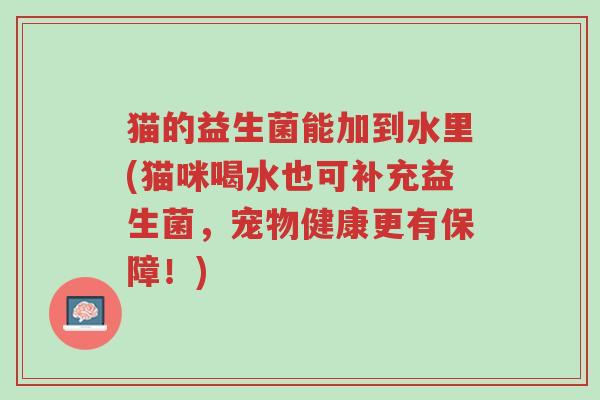 猫的益生菌能加到水里(猫咪喝水也可补充益生菌,宠物健康更有保障!)-第1张图片-超越 猫的益生菌能加到水里(猫咪喝水也可补充益生菌,宠物健康更有保障!)-第1张图片-超越