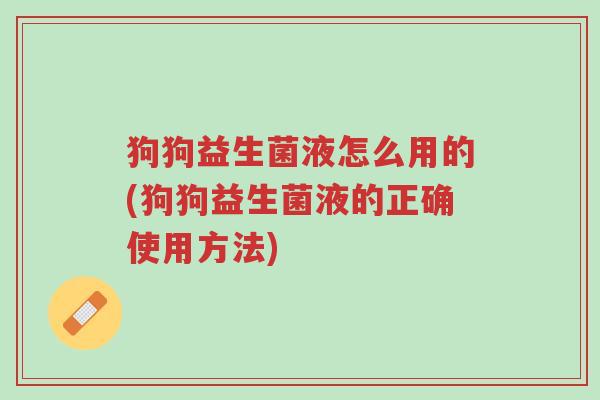 狗狗益生菌液怎么用的(狗狗益生菌液的正确使用方法)-第1张图片-超越 狗狗益生菌液怎么用的(狗狗益生菌液的正确使用方法)-第1张图片-超越