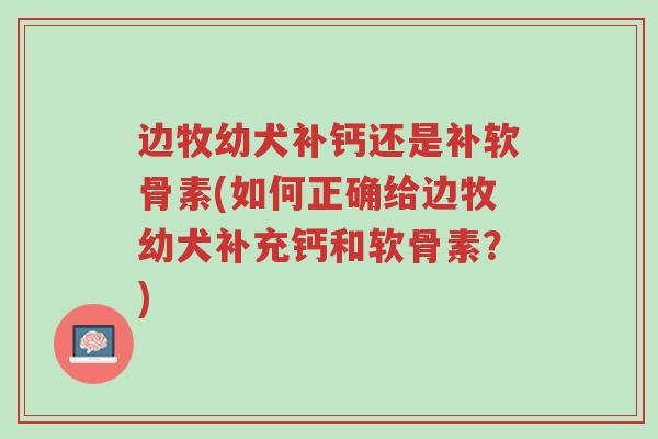 边牧幼犬补钙还是补软骨素(如何正确给边牧幼犬补充钙和软骨素?)-第1张图片-超越 边牧幼犬补钙还是补软骨素(如何正确给边牧幼犬补充钙和软骨素?)-第1张图片-超越