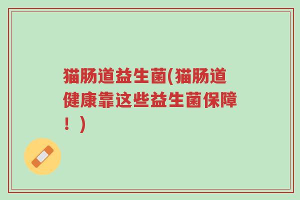猫肠道益生菌(猫肠道健康靠这些益生菌保障!)-第1张图片-超越 猫肠道益生菌(猫肠道健康靠这些益生菌保障!)-第1张图片-超越