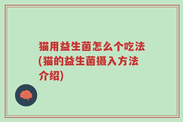 猫用益生菌怎么个吃法(猫的益生菌摄入方法介绍)-第1张图片-超越 猫用益生菌怎么个吃法(猫的益生菌摄入方法介绍)-第1张图片-超越