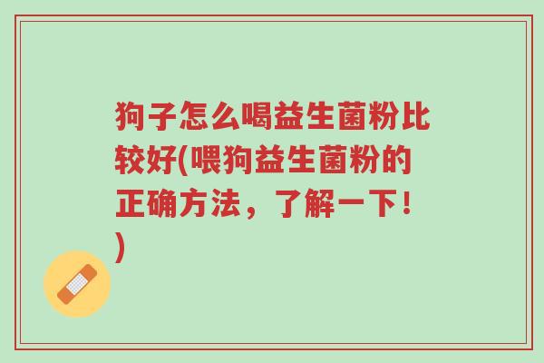 狗子怎么喝益生菌粉比较好(喂狗益生菌粉的正确方法,了解一下!)-第1张图片-超越 狗子怎么喝益生菌粉比较好(喂狗益生菌粉的正确方法,了解一下!)-第1张图片-超越