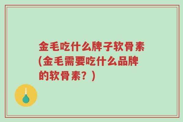 金毛吃什么牌子软骨素(金毛需要吃什么品牌的软骨素?)-第1张图片-超越 金毛吃什么牌子软骨素(金毛需要吃什么品牌的软骨素?)-第1张图片-超越