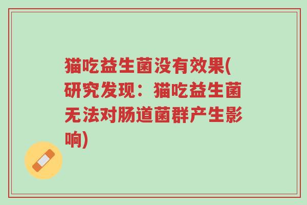猫吃益生菌没有效果(研究发现:猫吃益生菌无法对肠道菌群产生影响)-第1张图片-超越 猫吃益生菌没有效果(研究发现:猫吃益生菌无法对肠道菌群产生影响)-第1张图片-超越