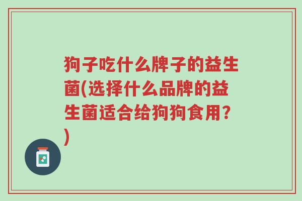 狗子吃什么牌子的益生菌(选择什么品牌的益生菌适合给狗狗食用?)-第1张图片-超越 狗子吃什么牌子的益生菌(选择什么品牌的益生菌适合给狗狗食用?)-第1张图片-超越