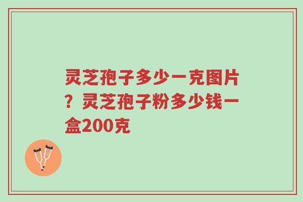 灵芝孢子多少一克图片？灵芝孢子粉多少钱一盒200克-第1张图片-超越