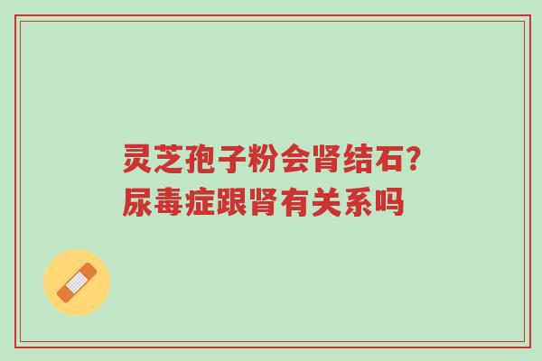 灵芝孢子粉会肾结石?尿毒症跟肾有关系吗-第1张图片-超越 灵芝孢子粉会肾结石?尿毒症跟肾有关系吗-第1张图片-超越