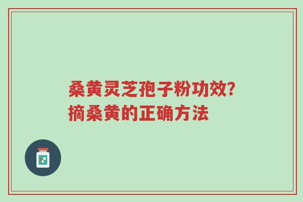 桑黄灵芝孢子粉功效?摘桑黄的正确方法-第1张图片-超越 桑黄灵芝孢子粉功效?摘桑黄的正确方法-第1张图片-超越