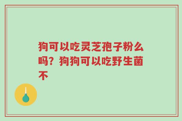 狗可以吃灵芝孢子粉么吗？狗狗可以吃野生菌不-第1张图片-超越