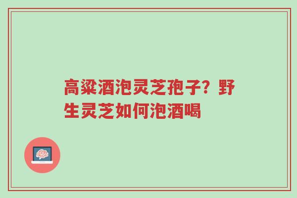 高粱酒泡灵芝孢子?野生灵芝如何泡酒喝-第1张图片-超越 高粱酒泡灵芝孢子?野生灵芝如何泡酒喝-第1张图片-超越